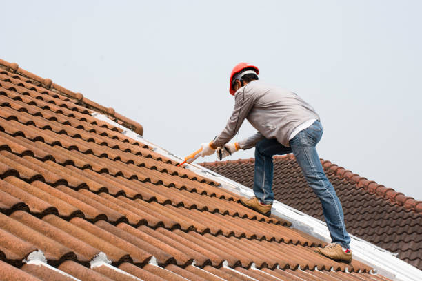 Best Roof Ventilation Installation  in Buena Vista, GA