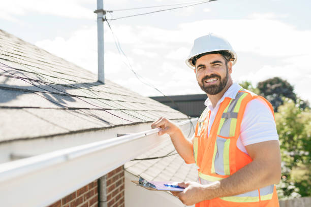 Best Roof Moss and Algae Removal  in Buena Vista, GA